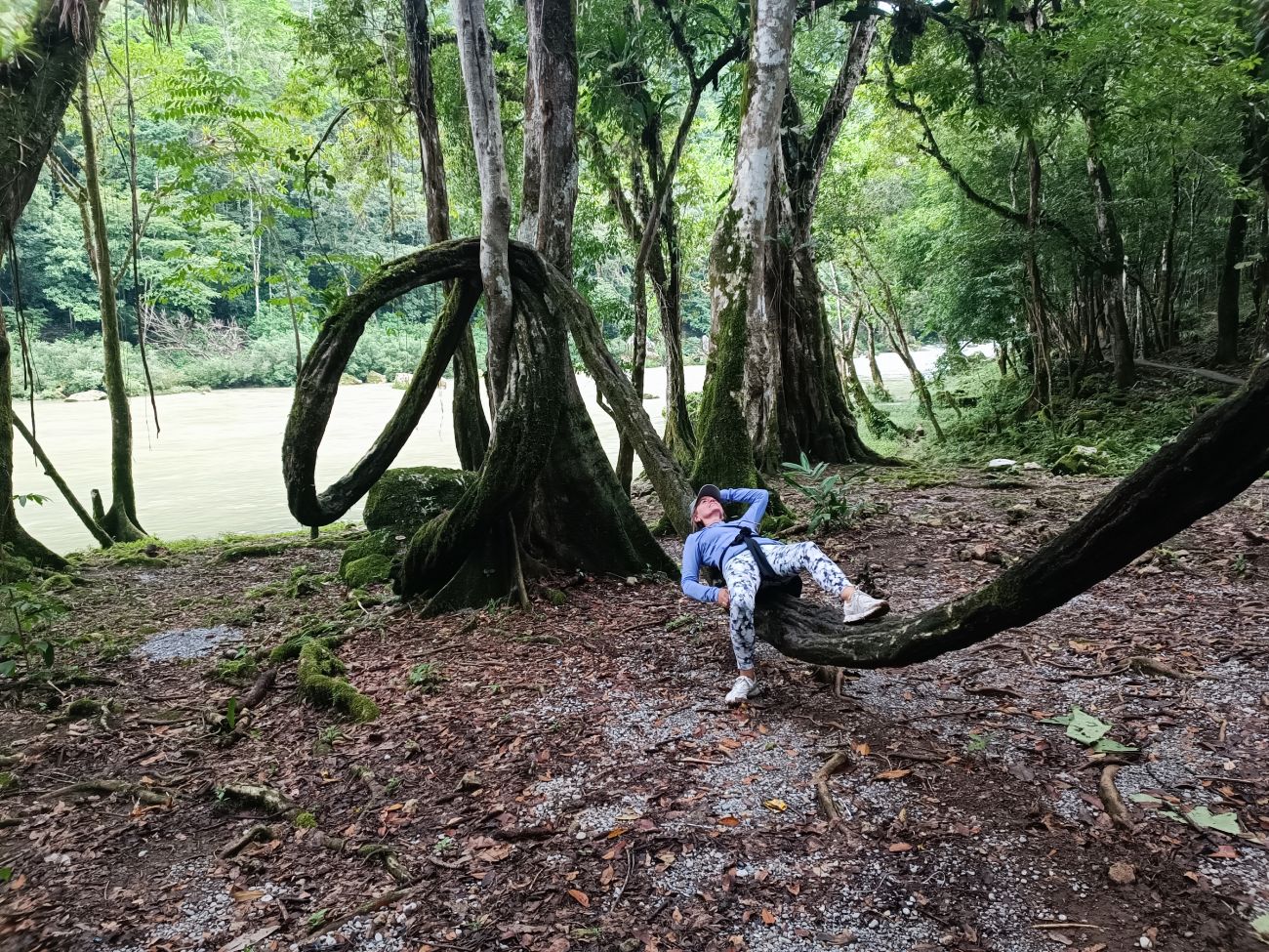 Imagen del destino 1