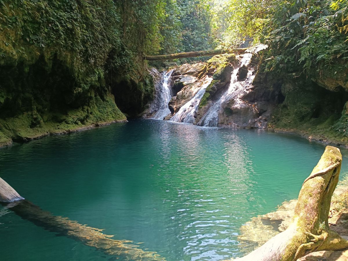 Finca Sacmoc-naturaleza